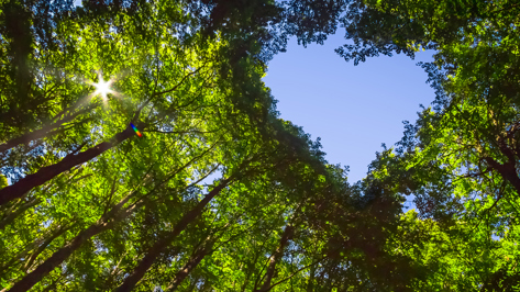 Sustainability Charter CTA