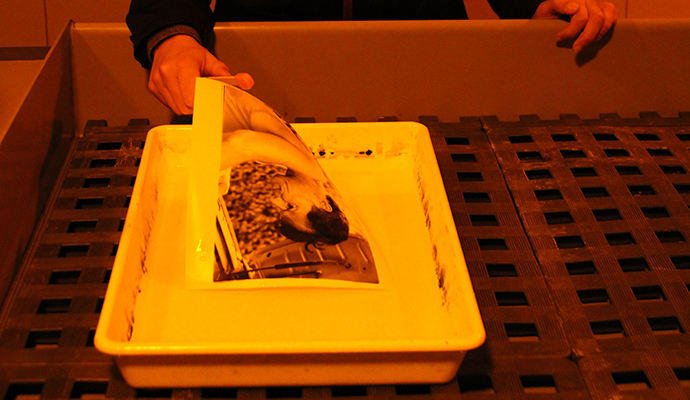 Yr9 PDM V2 Image2