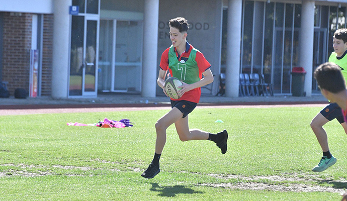 Yr11 PDHPE Image1